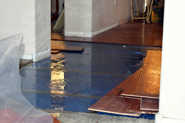 Professional Flood Damage Repair technician working in Pine Brook, NJ